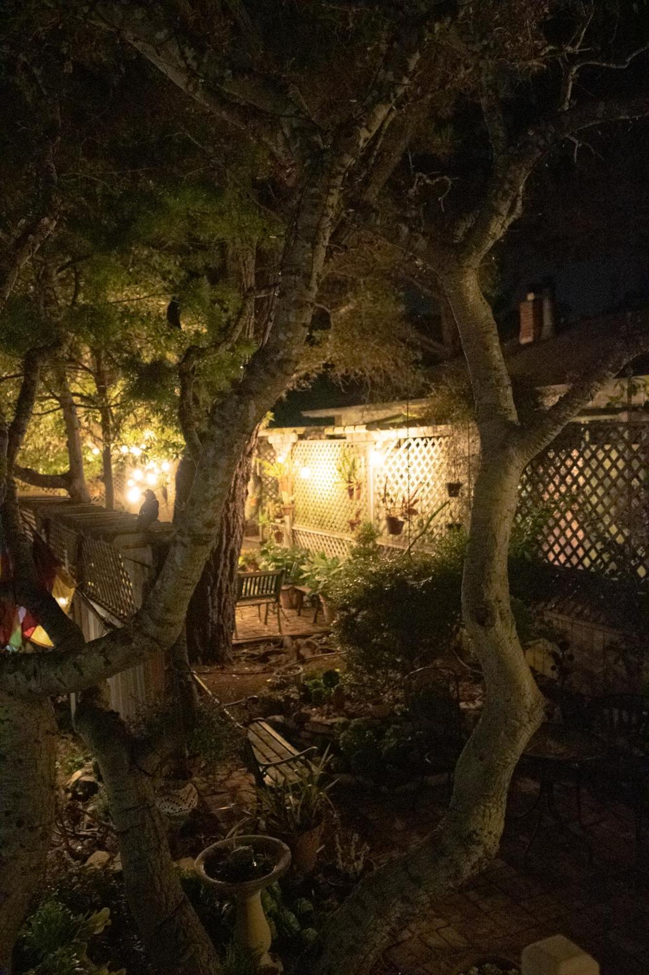 Carmel Garden Inn Zewnętrze zdjęcie